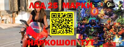 Альфа ПВП Краснознаменск