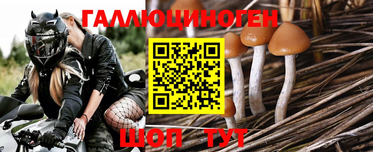 Галлюциногенные грибы MAGIC MUSHROOMS Дубна