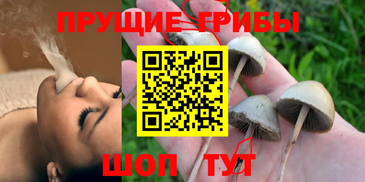 Дубна  Галлюциногенные грибы MAGIC MUSHROOMS  Вход с VPN 